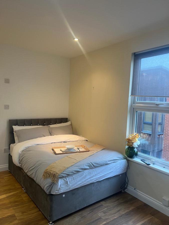 Appartement Large Modern Studio Flat à Londres Extérieur photo